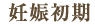妊娠初期